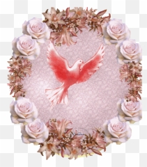 Pin En Aves - Fondo Rosados Con El Espiritu Santo Emoji,Emoticon De Callar