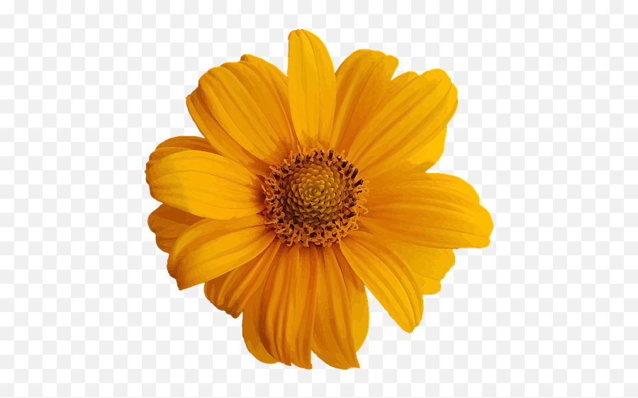 Free Yellow Flowers Flower Vectors - Pretty Flower Stickers Emoji,Yellow Flower Emoji Png