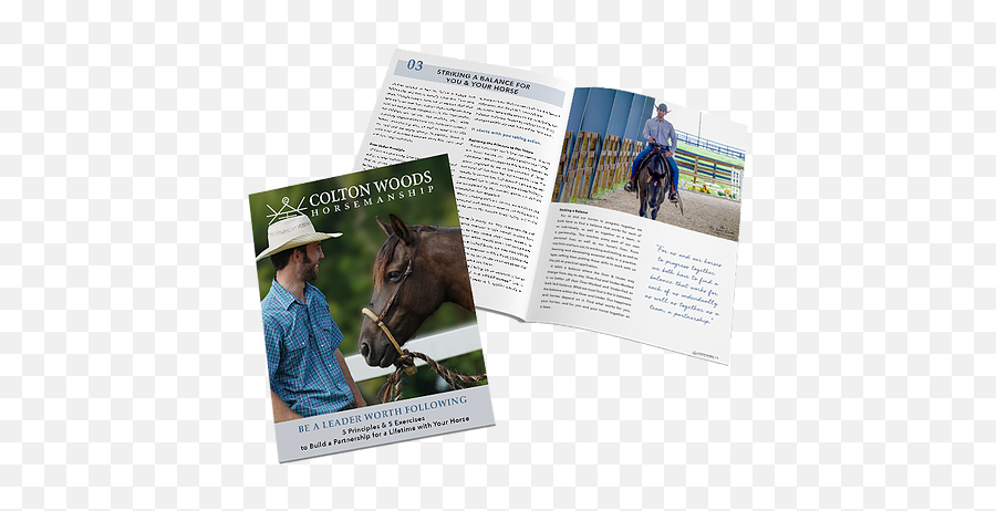 Download Our E - Book Colton Woods Horsemanship Halter Emoji,Horses Emotions