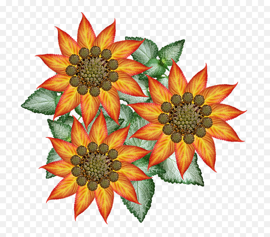 Flowers Leaf Pattern Autumn Design - Decorative Emoji,Machine Embroidery Pattern Emotion