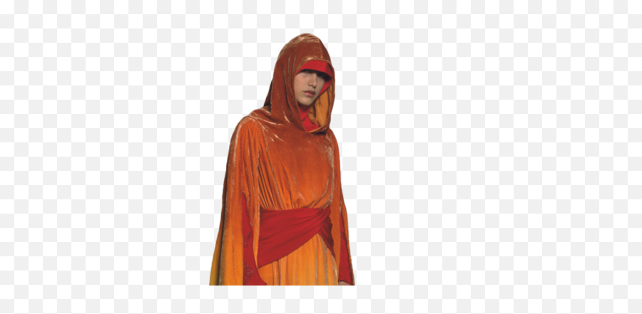 Naboo Royal Handmaidens Wookieepedia Fandom Emoji,Royal Guards Showing Emotions