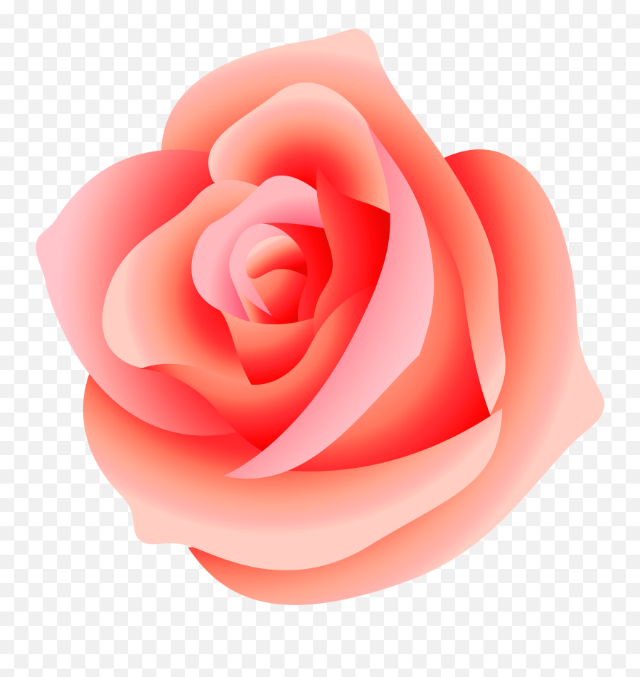 Free Pink Rose Transparent Background Download Free Clip - Flower Peach Rose Png Emoji,Red Rose Emoji