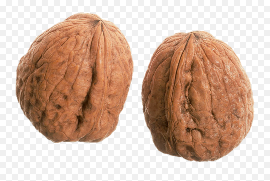 Nuts Walnuts Walnut Nut Sticker - Pair Of Nuts Png Emoji,Nuts Emoji