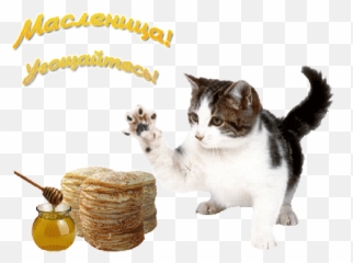 Top Breakfast Pancake Stickers For Android U0026 Ios Gfycat Emoji,Eating Cookies With Tea Emoticon Animated Gif