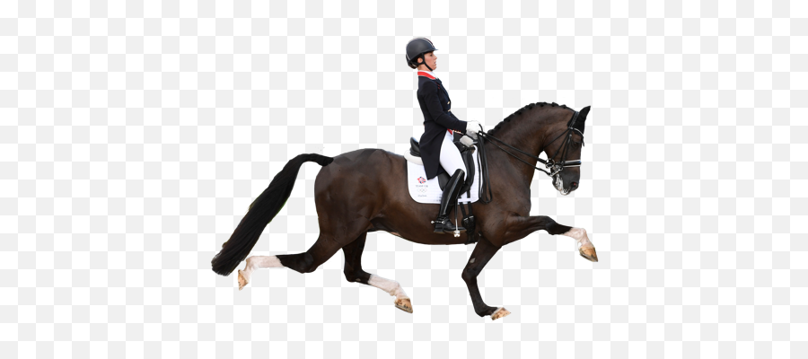 Relive The Magic Of Horse Dancing With Our Horse Dancing - Horse With Drasage Rider Transparent Background Emoji,Horse Arm Emoji