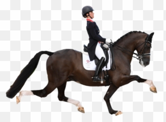 Relive The Magic Of Horse Dancing With Our Horse Dancing - Horse With Drasage Rider Transparent Background Emoji,Horse Arm Emoji