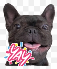 Ffgg By You - Sticker Maker For Whatsapp Emoji,French Bulldog Emojis