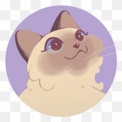 About U2014 Zineb Cherif Emoji,Angy Cat Emoji