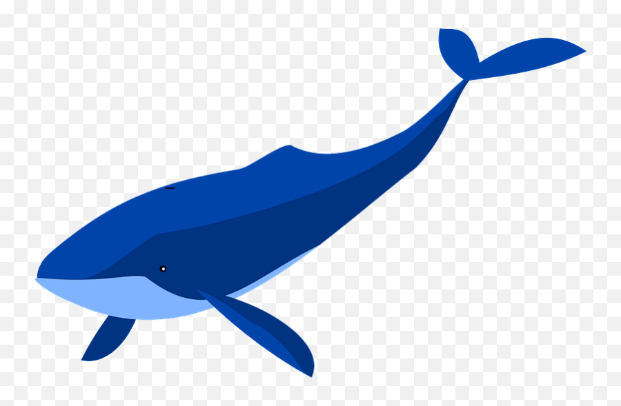 Blue Whale Clipart Free Download Transparent Png Creazilla - Clipart Image Of Blue Whale Emoji,Spouting Whale Emoji
