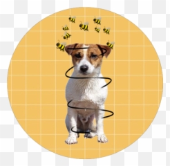 Jackrussell Sticker - Collar Emoji,Jack Russell Emoji