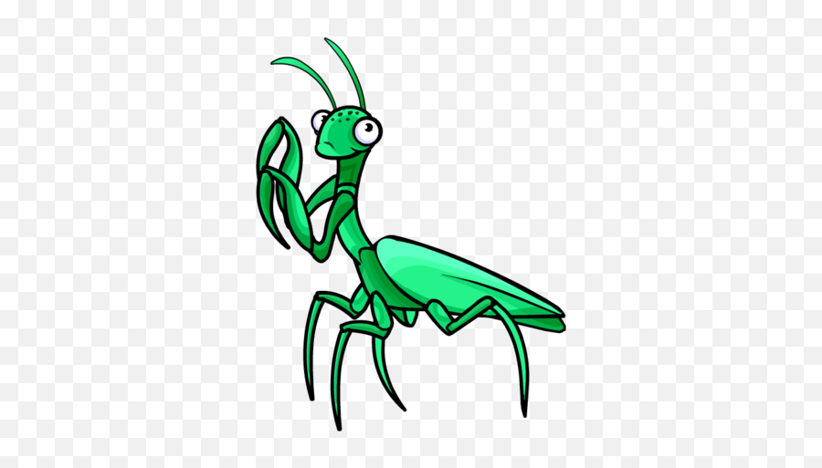 Praying Mantis Club Penguin Wiki Fandom - Praying Mantis Clipart Png Emoji,Warthog Emoji