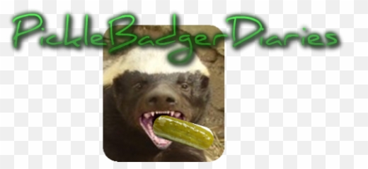 Pickle Giggles - Picklebadgerdiaries Pickled Cucumber Emoji,Honey Badger Emoticon