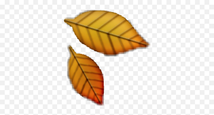 Download Hd Autumn Leaves Clipart Emoji - Autumn,Leaves Emoji Png
