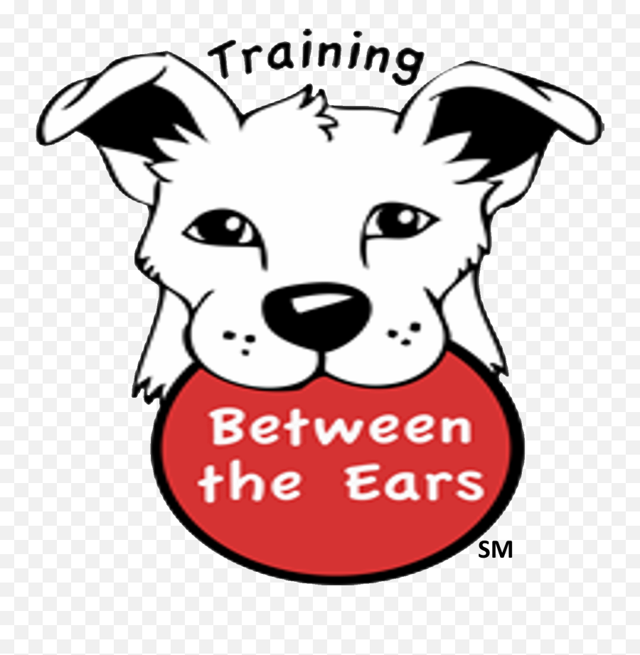 Tbte U2013 Mark Mccabe - Dog Training U0026 Behavior Specialist Training Between The Ears Emoji,Nekomimi Emotion Ears