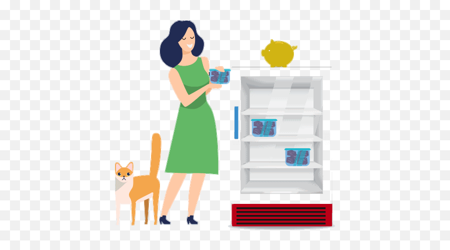 E - Refrigerator Emoji,My Kitty Is Not Making The Emoticons Mo Creatures