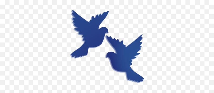 Cute Dove Feather Tattoo Design Transparent Background - Silhouette Of Two Doves Emoji,Dove Bird Emojis
