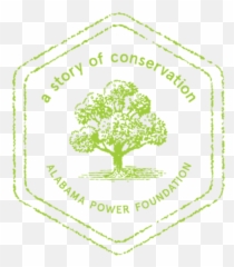 Alabama Power Foundation Annual Report 2019 - Language Emoji,Motor Volunter Emotion