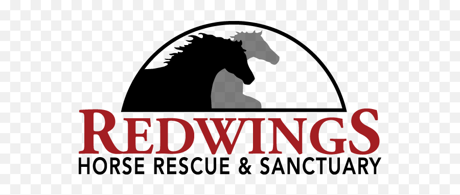 Home - Redwings Horse Sanctuary Logo Emoji,Horse Nose Emotion