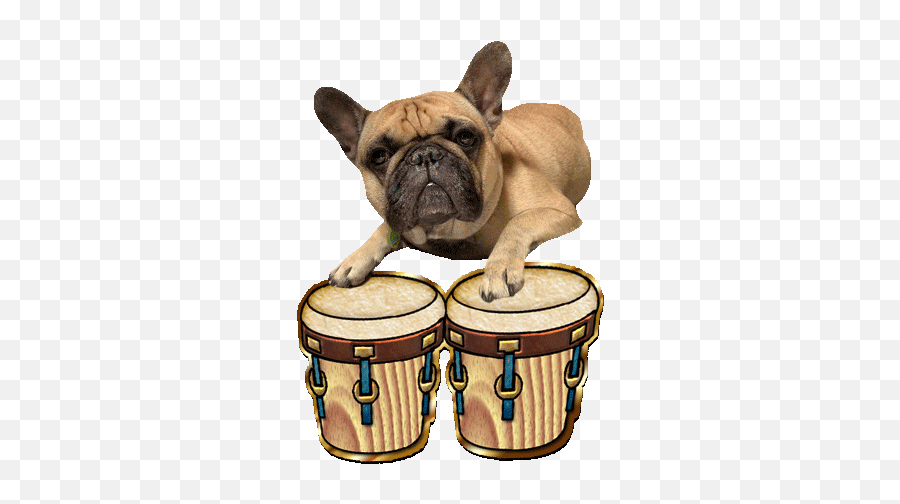 Family And Friends Unit 5 Lessons 3 And 4 Baamboozle Emoji,French Bulldog Emojis