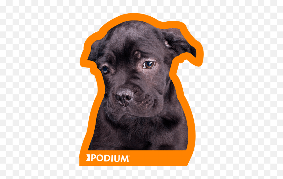 Podium Vol 1 - Guard Dog Emoji,Dog Breed Emojis