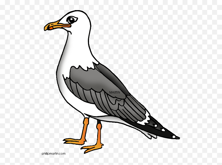 Pelican Clipart Seagull Pelican Seagull Transparent Free - Seagull Clipart Emoji,Pelican Emoji