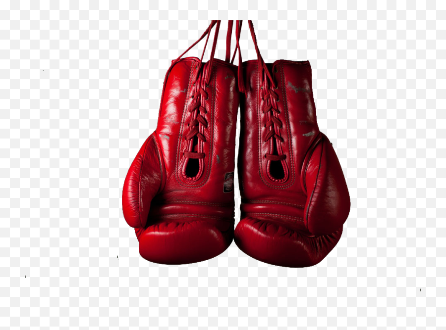 Boxing Glove Stock Photography Everlast - Red Boxing Gloves Hanging Boxing Gloves Png Emoji,Boxing Emoticon Tumblr