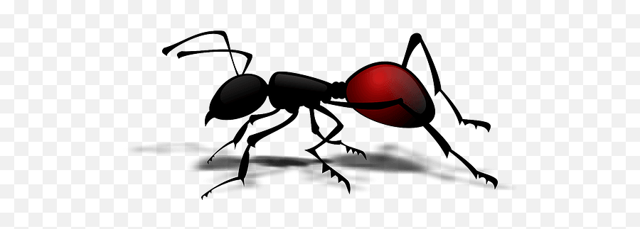 Red Ant Clipart - Printable Ants Body Parts Emoji,Emoticon Of An Ant