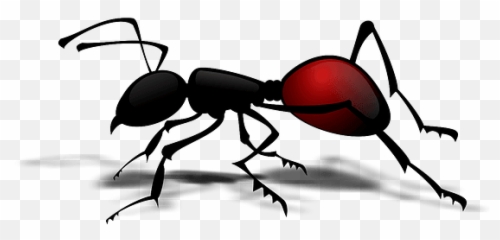 Red Ant Clipart - Printable Ants Body Parts Emoji,Emoticon Of An Ant