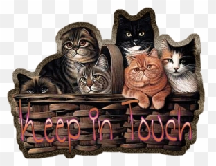 Keep In Touch Glitter Scraps Graphics And Comments For Emoji,Ouch Emoticon Gif