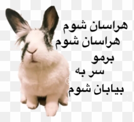 Tini Khargooshe By Tini Shirini Bunny - Sticker Maker For Emoji,Text Based Rabbit Emoji