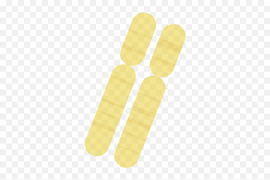 Terms Of Use U2013 Illustrative Dna Emoji,Band Aid Emoji