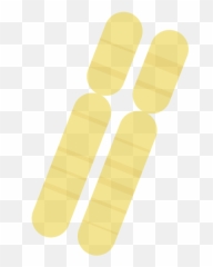 Terms Of Use U2013 Illustrative Dna Emoji,Band Aid Emoji