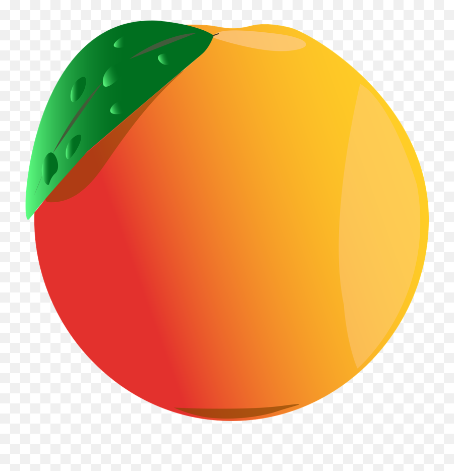 Orange Fruit Drawing - Free Image On Pixabay Emoji,Twitter 18 Emoji