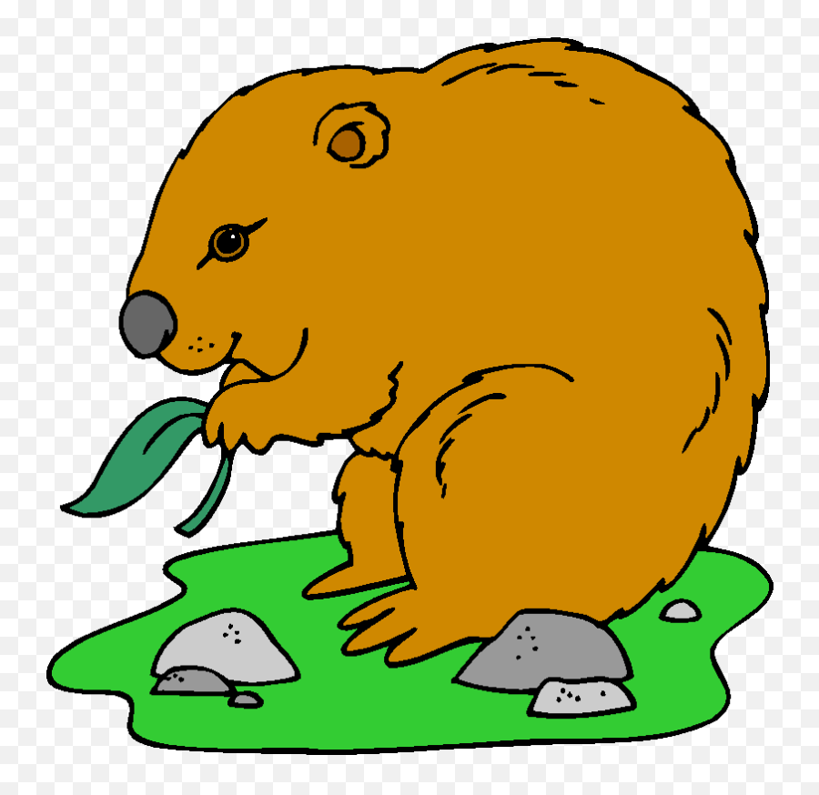 Wombat Eating Clipart - Free Animated Groundhogs Transparent Gifs Emoji,Wombat Emoji