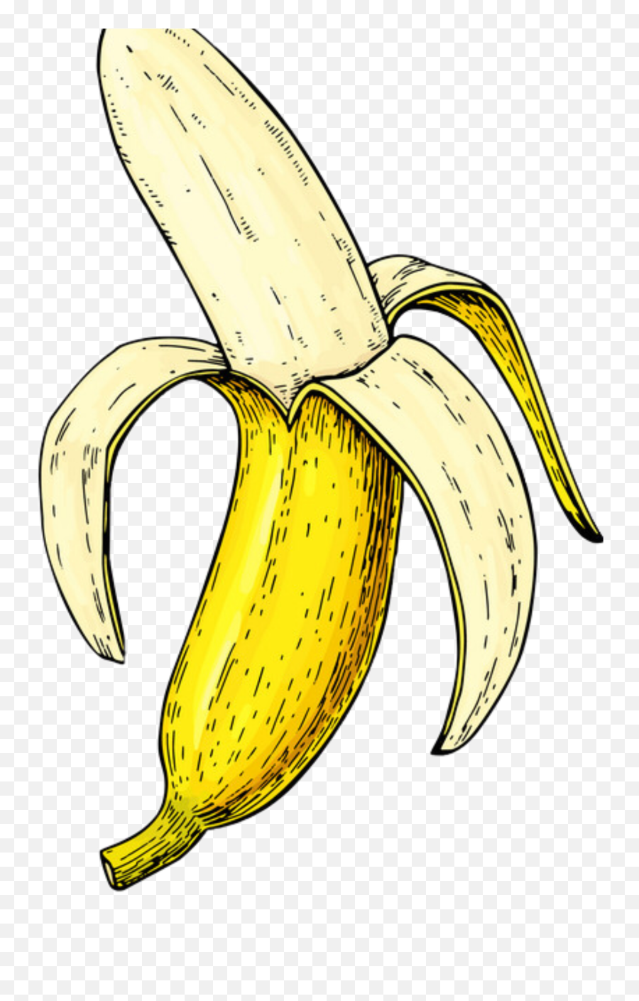 Largest Collection Of Free - Toedit Stickers On Picsart Banana Slice Drawing Easy Emoji,Banana Peel Emoji