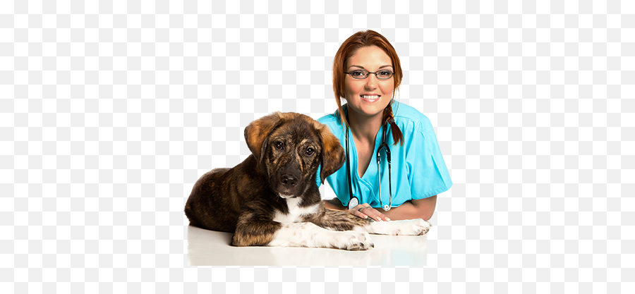 The Benefits Of Membership Veterinary Growth Partners - Medical Assistant Emoji,Dog Emotion 50% Up