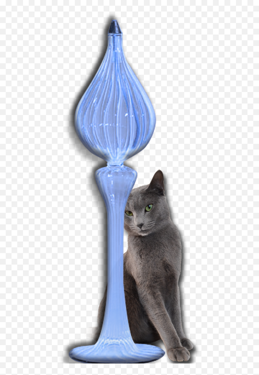 Silverine Russian Blue Cattery In - Chartreux Emoji,Cat Tail Emotions