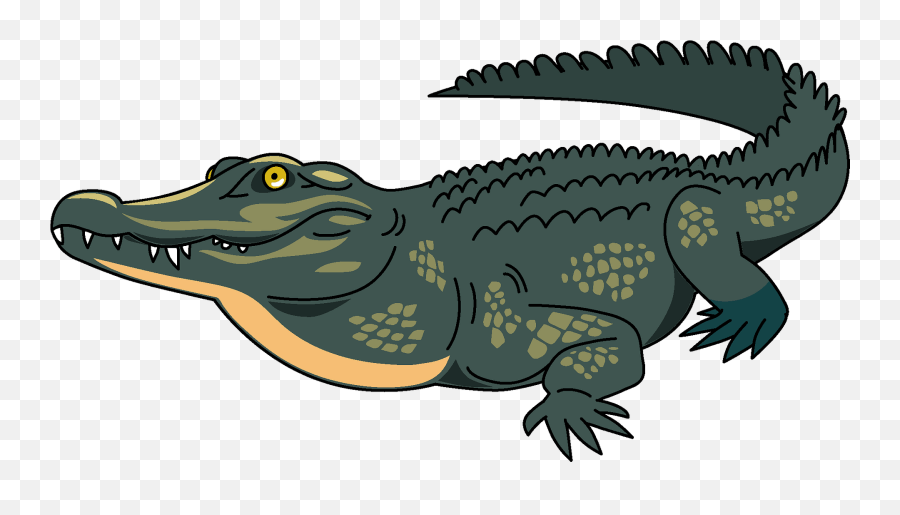 Crocodile Clipart - Png Download Full Size Clipart Clip Art Crocodile Png Emoji,Facebook Emoticons Alligator