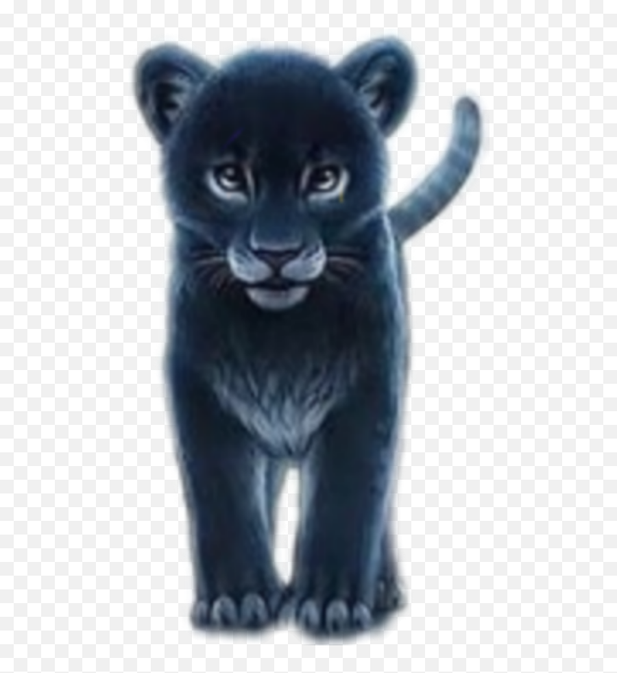 Babyanimal Panther Sticker - Black Panther Emoji,Panther Emoji