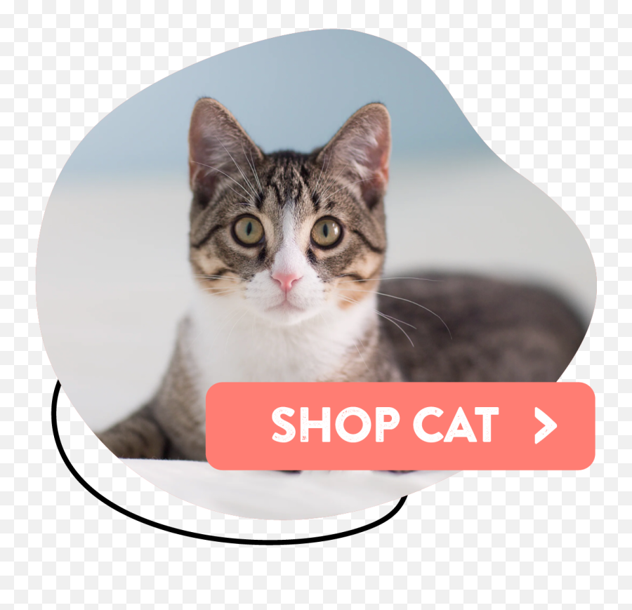 Naturally Urban Pet Store To Your Door Free Delivery Emoji,Shopping Cat Emoji