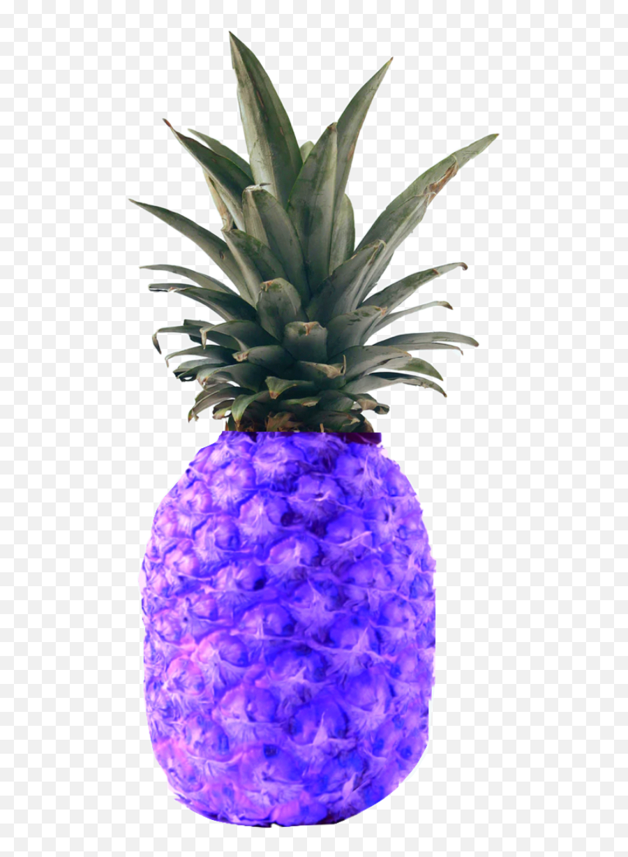 Discover Trending - Pineapple Emoji,Fabolous Emojis