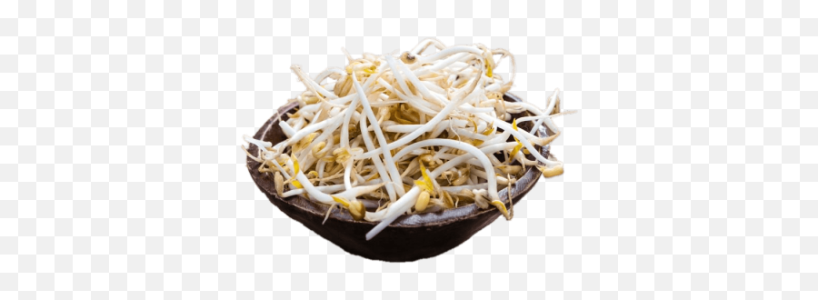 Transparent Png And Vectors For Free - Soy Bean Sprouts Png Emoji,Bean Sprout Emoji