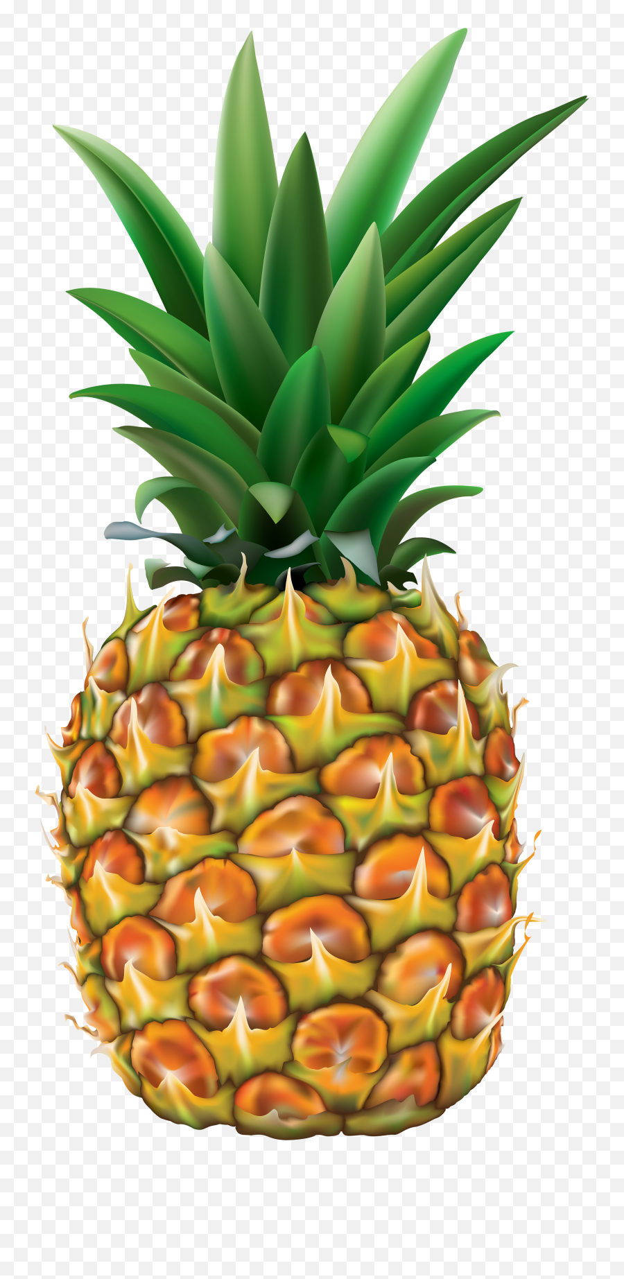 Pineapple Fruit Transparent Png Images Free Download - Free Pineapple Clipart Transparent Background Emoji,Pineapple Emoji