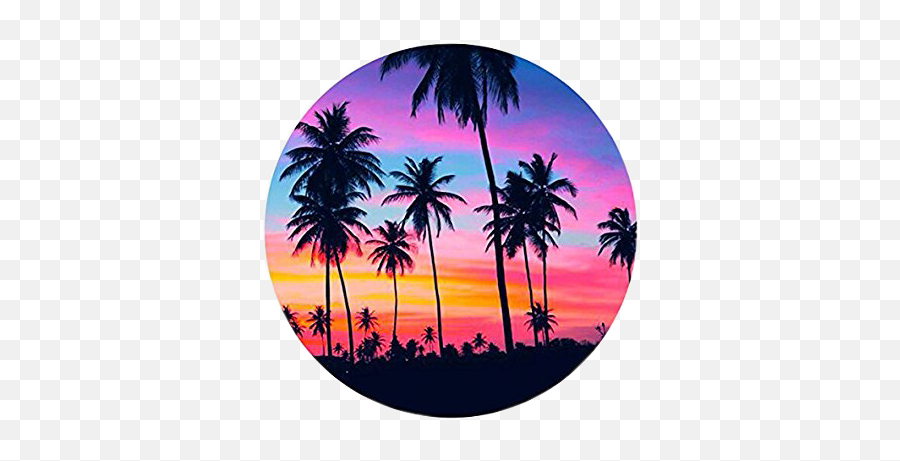 Beach Sunset Sand Palmtree Sticker - Tropical Sunset Wallpaper For Phone Emoji,Emoji Pop Drink Sunset