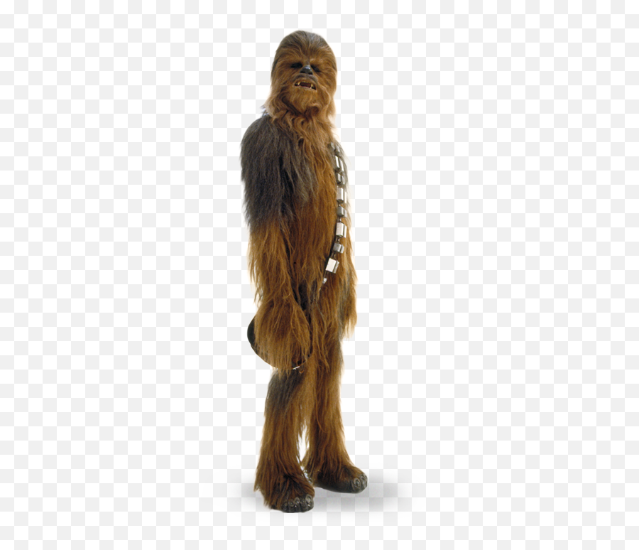 Engtalk Describing Star Wars Charactersu0027 Physical - Star Cutouts Han Solo Emoji,Emojis De Star Wars