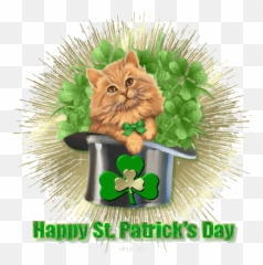 Top Happy 55 Stickers For Android U0026 Ios Gfycat - Happy St Day Gif Emoji,Knife Cat Emoji