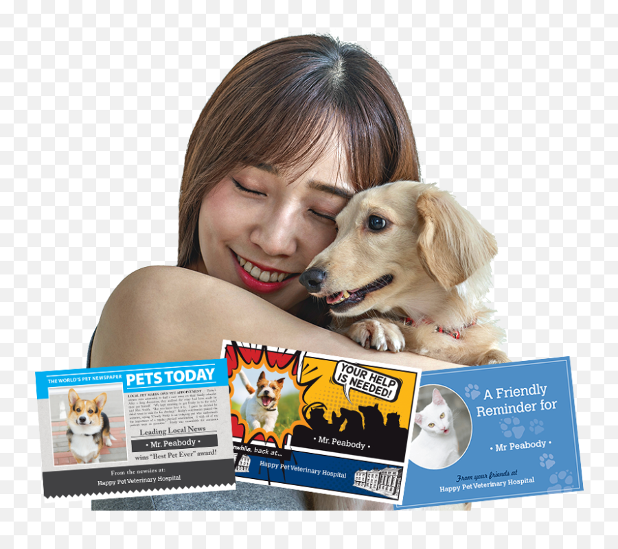 Vettools Petpost - Fridgeworthy Reminder Postcards Collar Emoji,Holding All Your Emotions In And Smile
