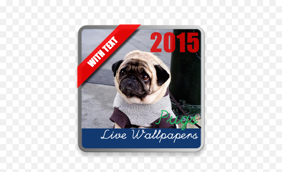 Pugs Live Wallpaper 11 Apk Download - Com Pug Emoji,Pug Emoji Android