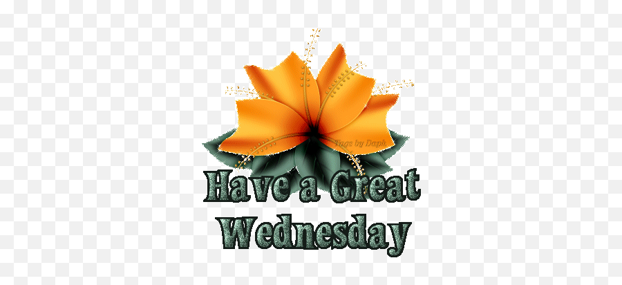 Happy Wednesday Happy Hump Day Wishes Cards Messages Emoji,Happy Hump Day Emoticons