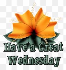 Happy Wednesday Happy Hump Day Wishes Cards Messages Emoji,Happy Hump Day Emoticons